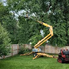 Best Firewood Processing and Delivery  in Isle Of Palms, SC